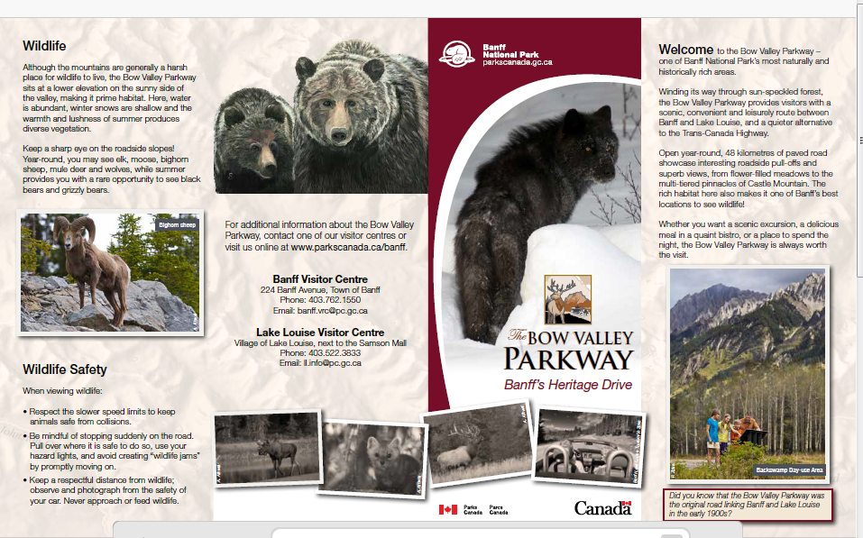 bow valley parkway banff closed